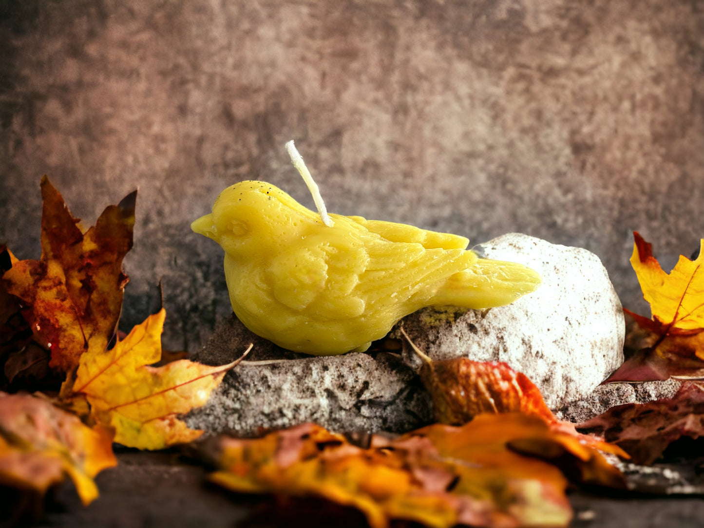 Charming Feathered Friend